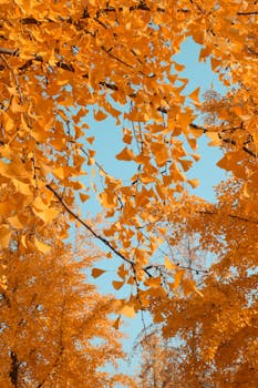 北京楼市迎来转折；新进房企红利渐失，产品力成关键。 房产家居