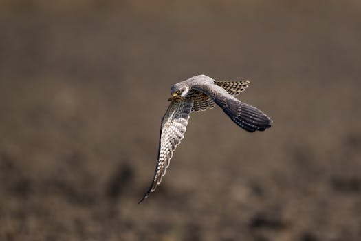 监管层密集调研投资机构;投融资平衡迈向新阶段;市场韧性持续强化。 股票财经 监管层密集调研投资机构;投融资平衡迈向新阶段;市场韧性持续强化。 股票财经 监管层密集调研投资机构;投融资平衡迈向新阶段;市场韧性持续强化。 股票财经 监管层密集调研投资机构;投融资平衡迈向新阶段;市场韧性持续强化。 股票财经