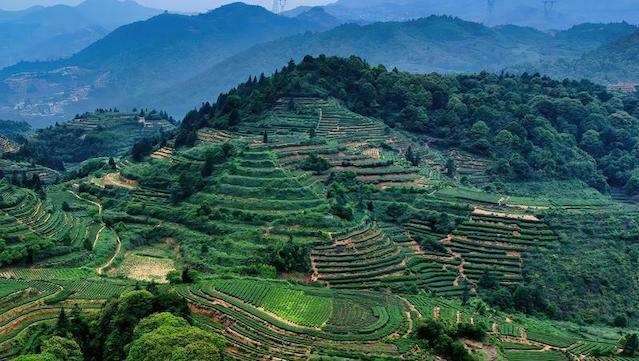  产业升级与数字化重构：浙江经济模型的深度技术拆解 股票财经 产业升级与数字化重构：浙江经济模型的深度技术拆解 股票财经