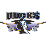 登场即绝境:新人张鹏珲如何用一颗三分球改写心路历程 体育新闻 登场即绝境:新人张鹏珲如何用一颗三分球改写心路历程 体育新闻