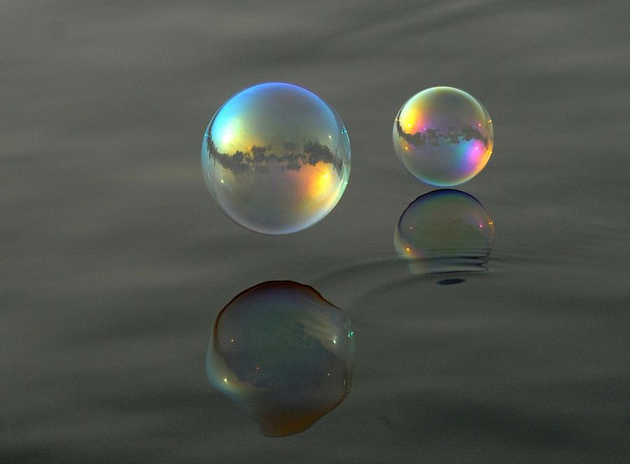  古洋槐的凝视：一段关于教育与成长的生命叙事 教育招生