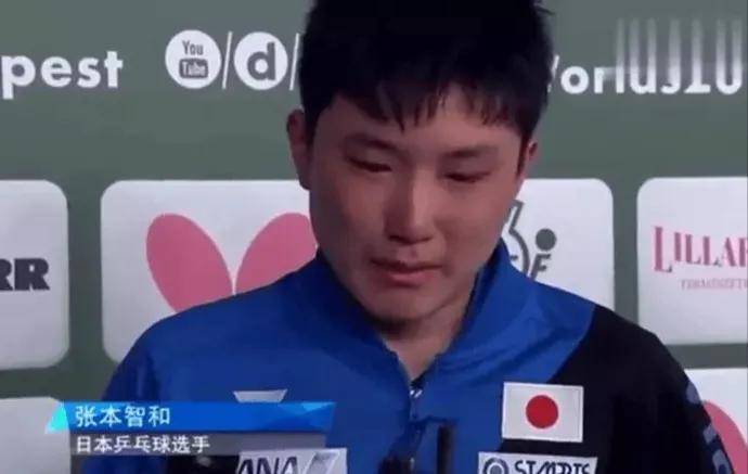  技术解密：张本智和凭什么成为国乒最强对手？ 体育新闻