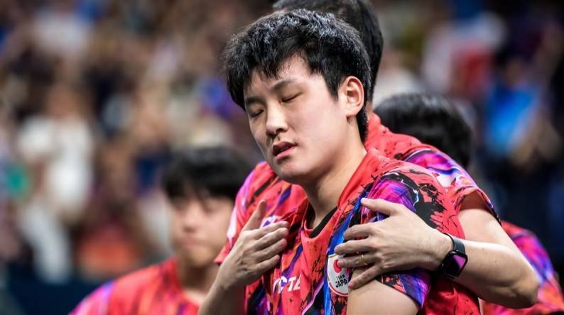  技术解密：张本智和凭什么成为国乒最强对手？ 体育新闻