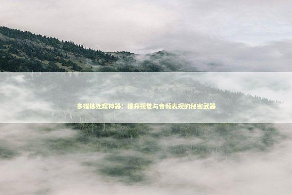 多媒体处理神器：提升视觉与音频表现的秘密武器