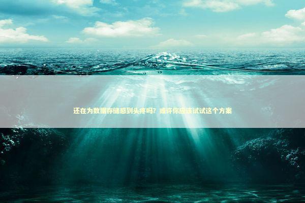 还在为数据存储感到头疼吗？或许你应该试试这个方案 IT技术