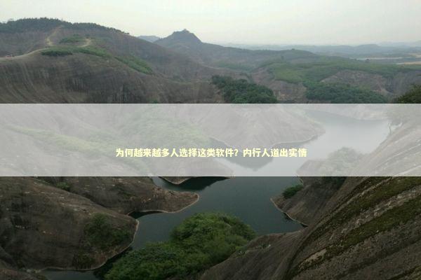 为何越来越多人选择这类软件？内行人道出实情