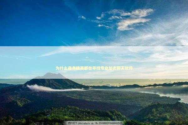 为什么商务精英都在寻找专业加密聊天软件 IT技术