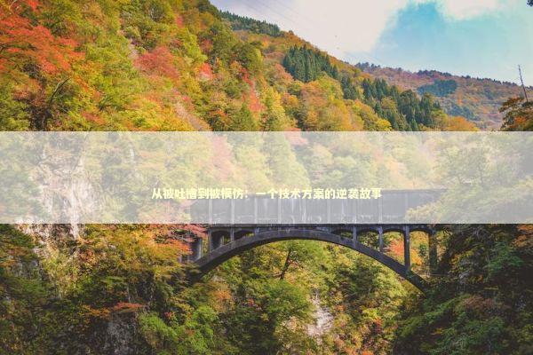 从被吐槽到被模仿：一个技术方案的逆袭故事 IT技术